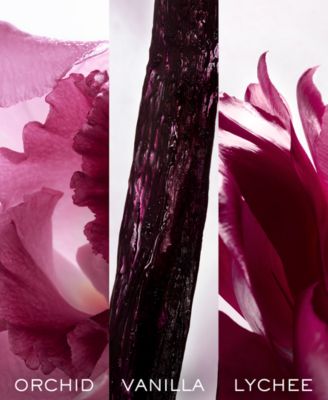 la nuit trésor eau de parfum collection
