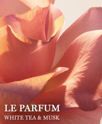 absolue le parfum eau de parfum