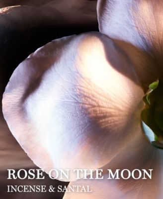 absolut rose on the moon eau de parfum