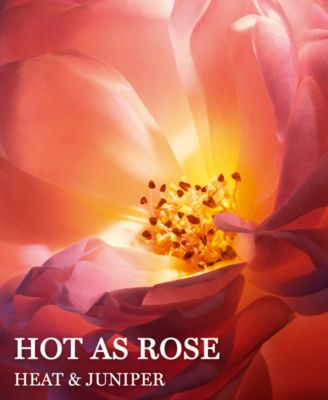 lancôme absolue hot as rose eau de parfum 34 oz.
