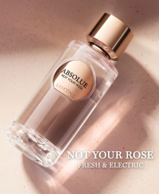 absolue not your rose eau de parfum