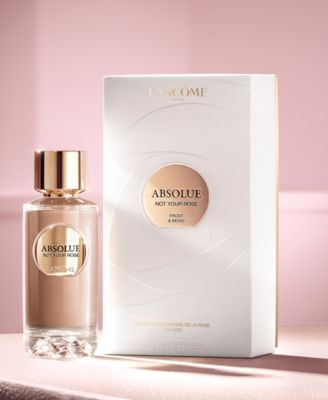 absolue not your rose eau de parfum