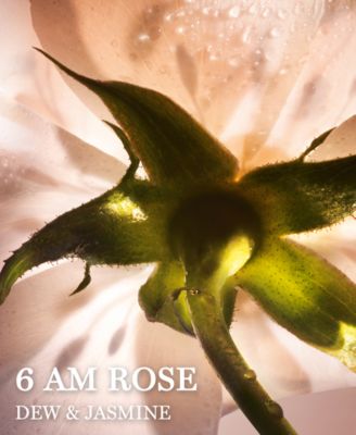 absolue 6 am rose eau de parfum